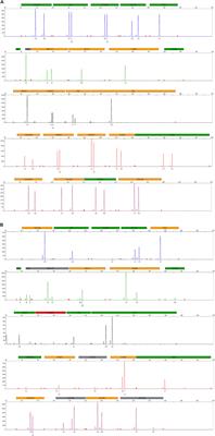 Cell-Based NIPT Detects 47,XXY Genotype in a Twin Pregnancy